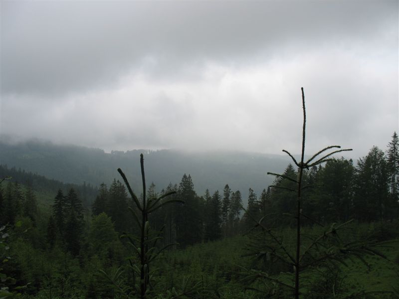 przylenkow (197)